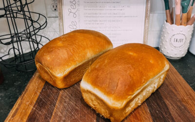 Weekly White Bread for Sandwiches + Delicious Dinner Rolls