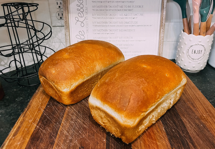 Weekly White Bread for Sandwiches + Delicious Dinner Rolls
